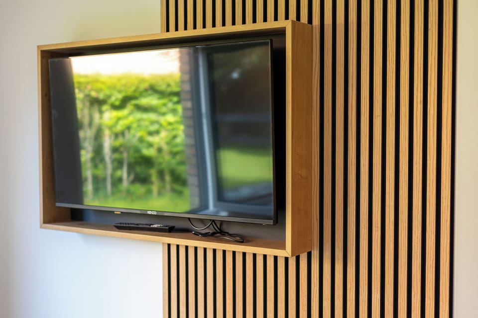 Television