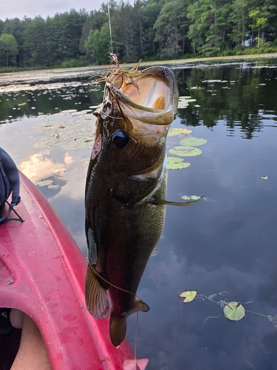 Full use of the pond all year long. Ice fishing will be provided. 