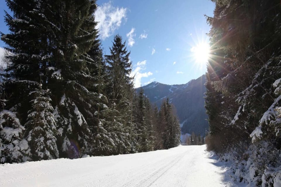 Immediate Surroundings [winter] (<1 km)