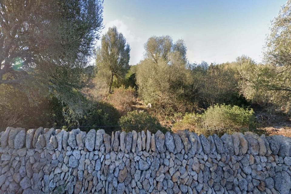 Immediate Surroundings [summer] (<1 km)