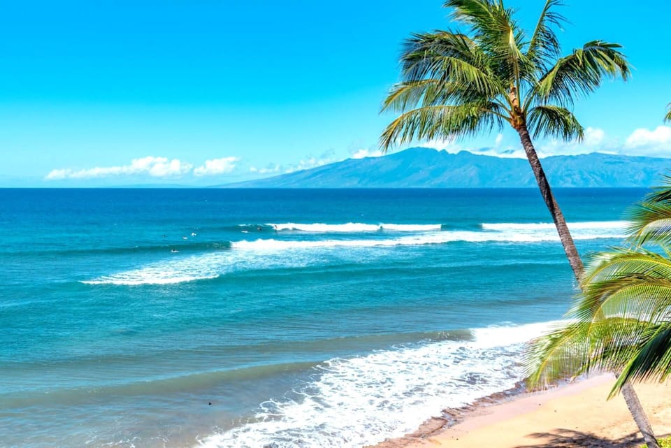 Surf rolls in under a flawless blue sky while palms sway in sync with the breeze, paradise in its purest form WH1-615