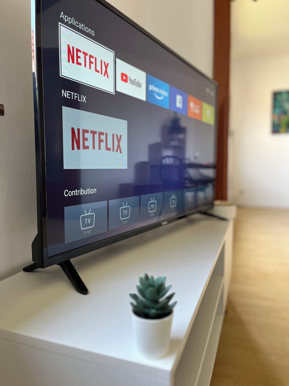 Television