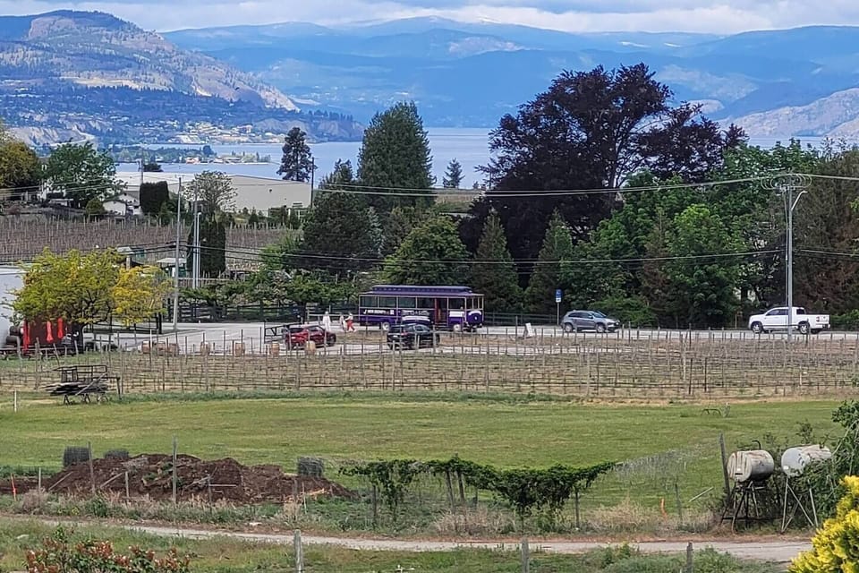 The Hop-On, Hop-Off wine trolley, stops at the bottom of our street, next to Township 7 Winery.