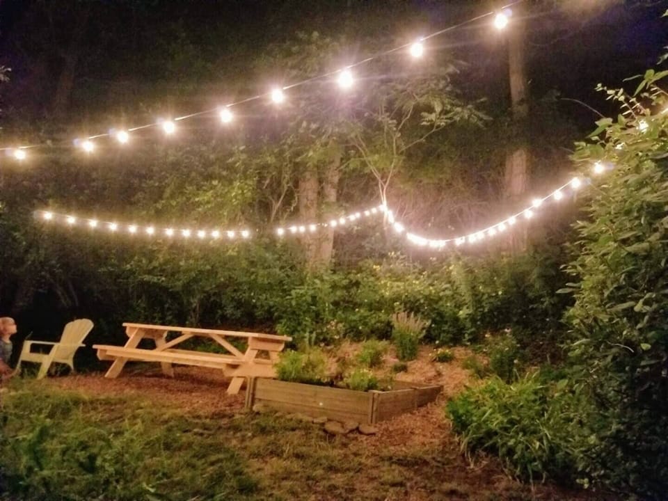 Backyard dining area with lights