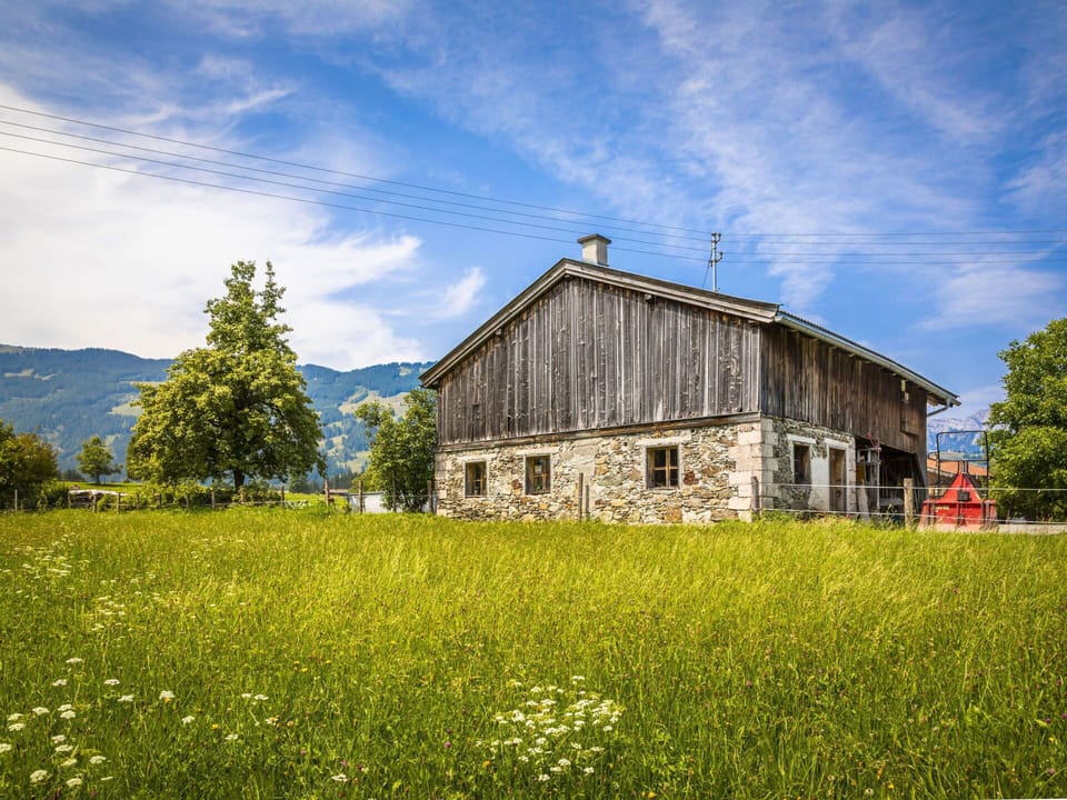 Grass, Green, Building, House, Landscape, Natural Landscape, Grassland, Rural Area, Plain