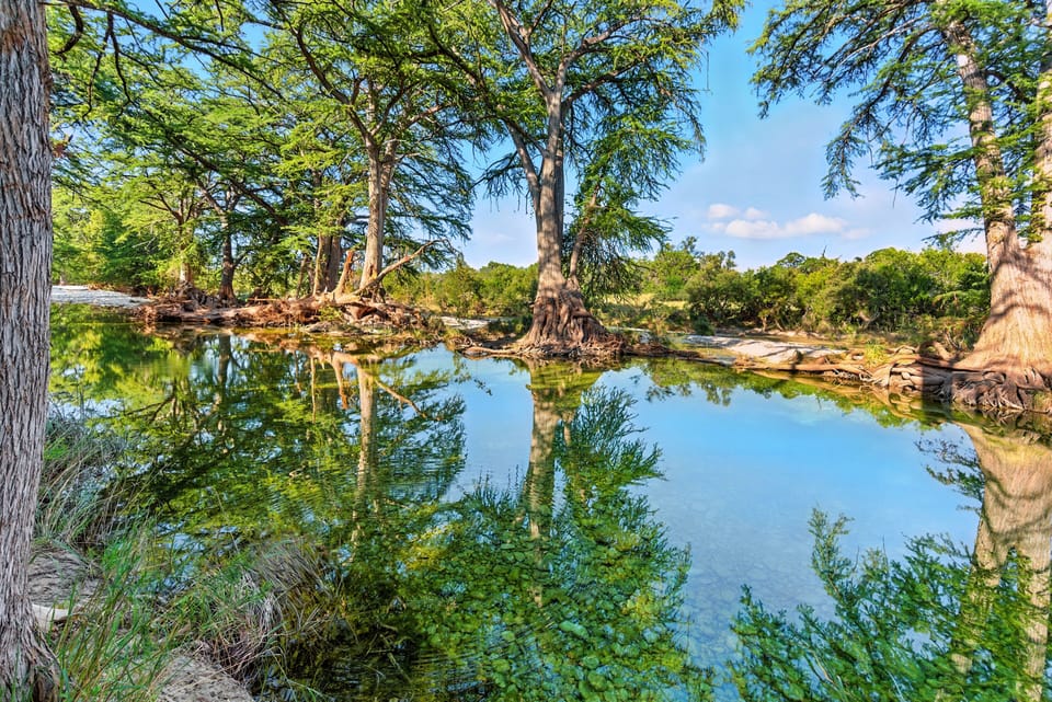 Nature, Outdoors, Pond, Water, Land