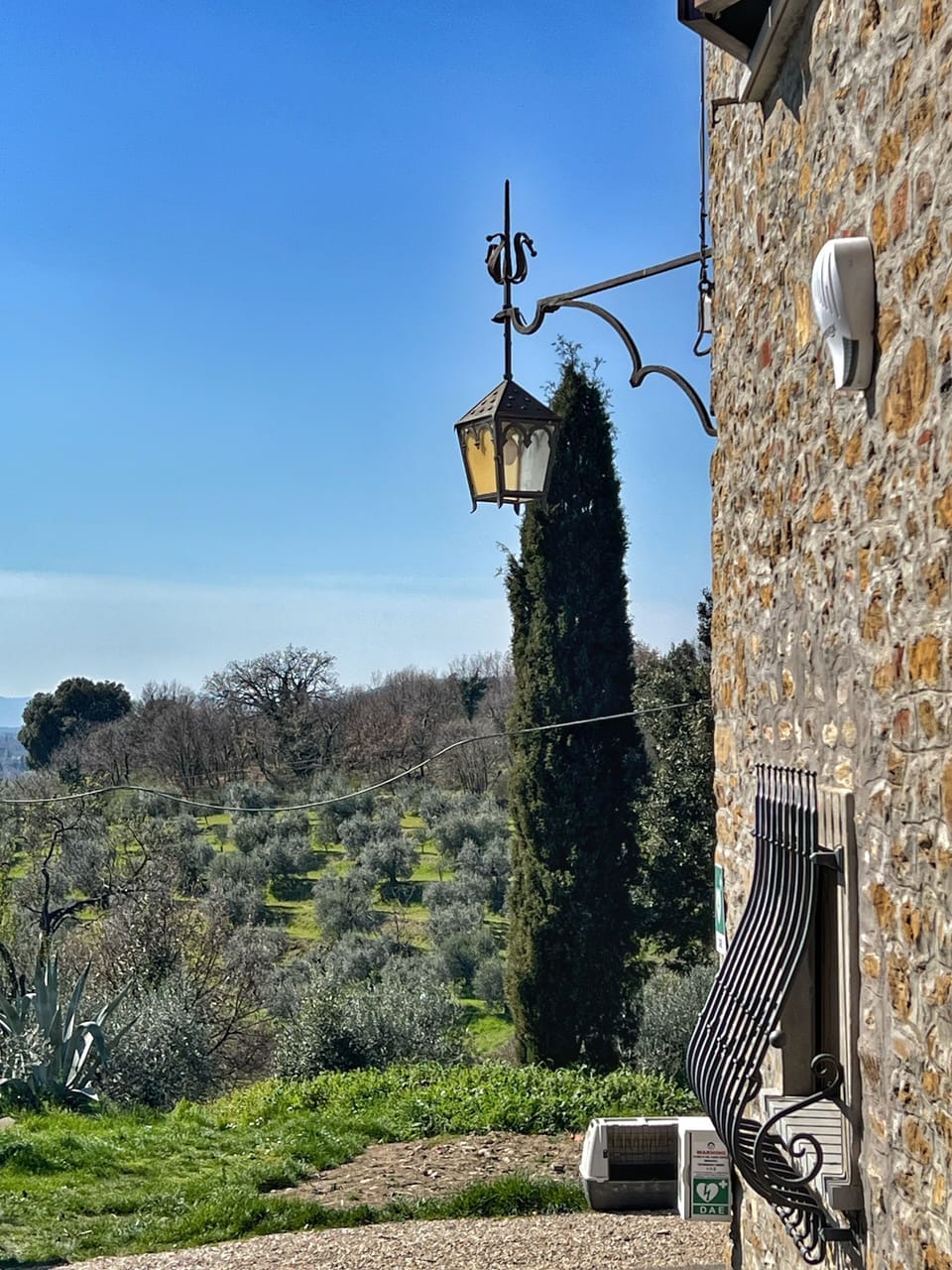 View from property