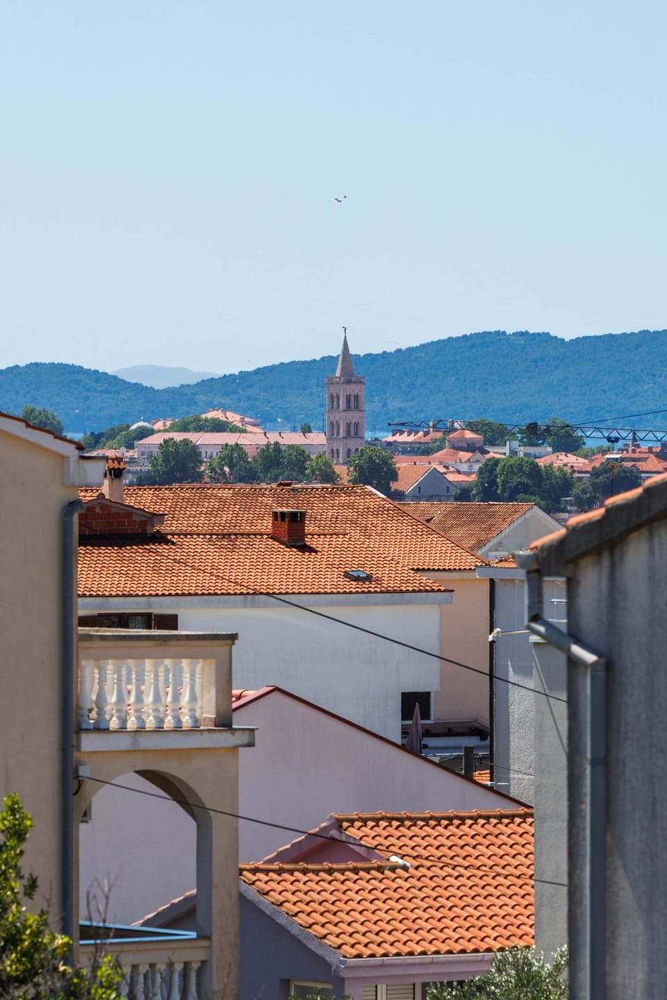 OKUCNICA (15)