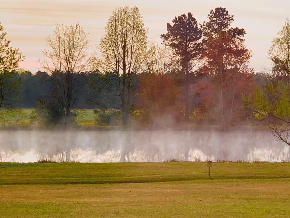 A view of the Pond during the autumn months.