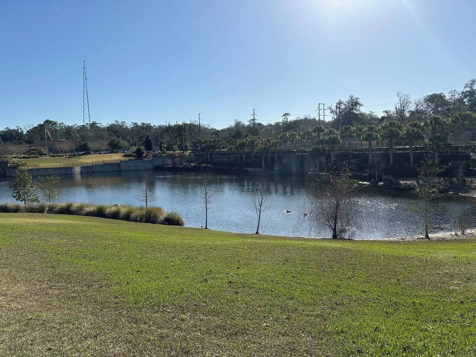Water fowl make this park home.