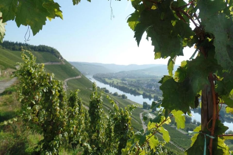 Surroundings [summer] (1-5 km)