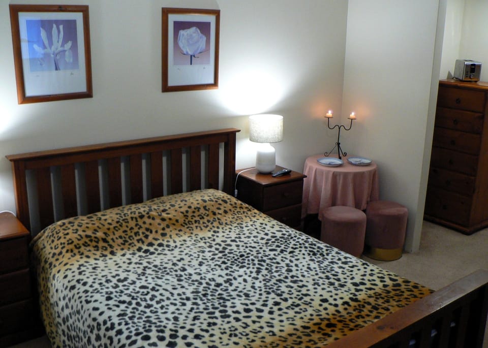 Master Bedroom Night