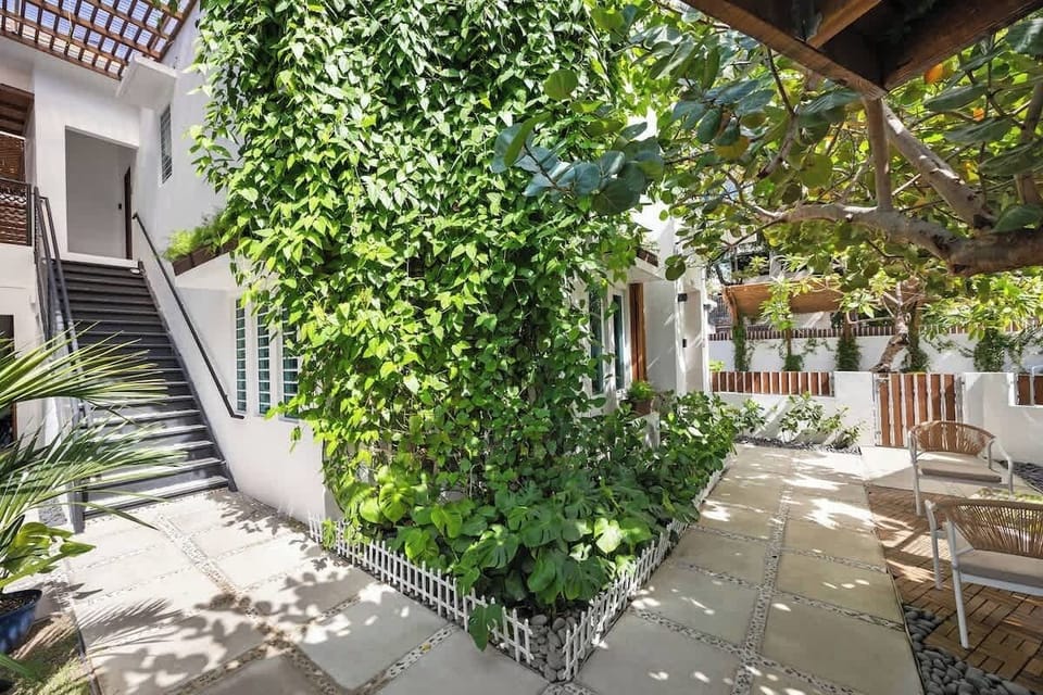 A delightful garden space with lovely plants and chairs.

