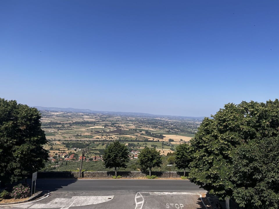 Panoramic view