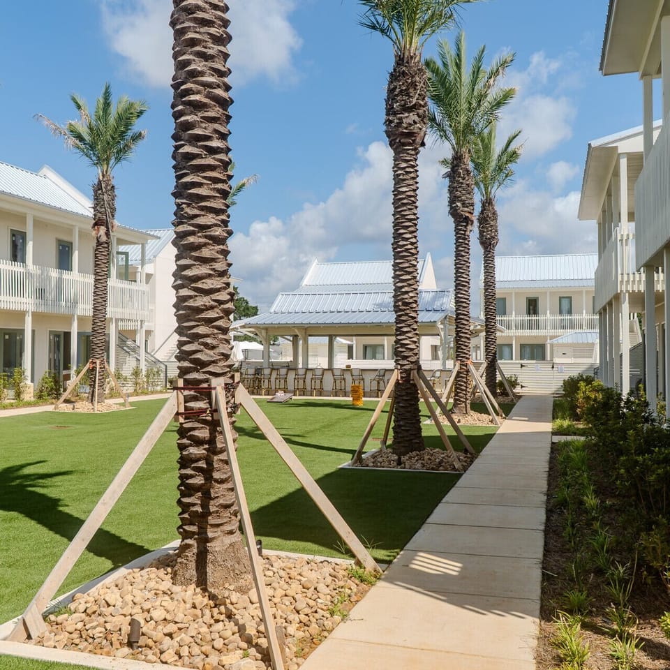 Beautiful courtyard with palm trees, walkways, and open-air spaces connecting the Bungalows..