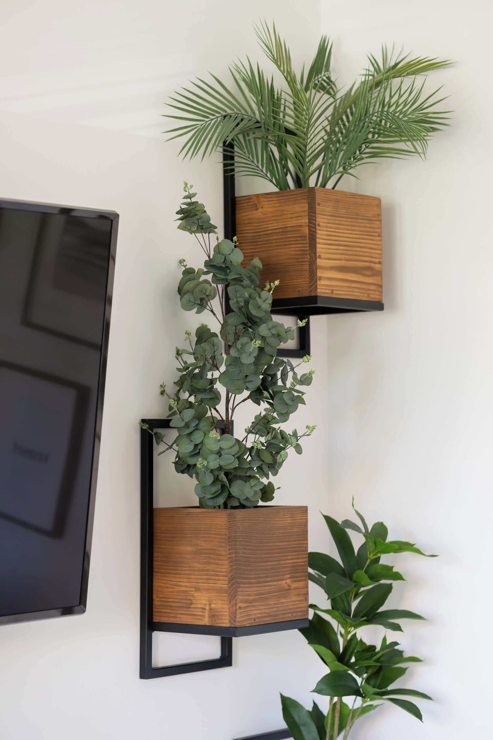 A wall decoration of green plants in wooden pots enlivens the interior and brings a relaxing atmosphere.