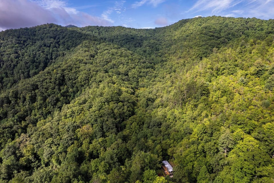 Nestled deep in the trees, High Hollow Cottage is your hideaway with endless seclusion.