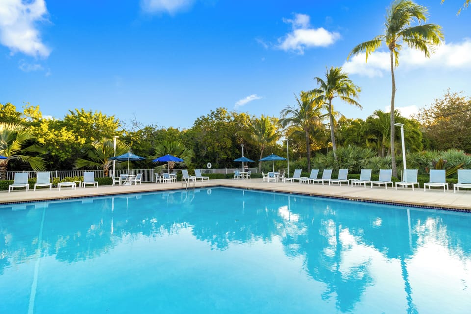 Dive into sparkling blue water beneath swaying palms today.