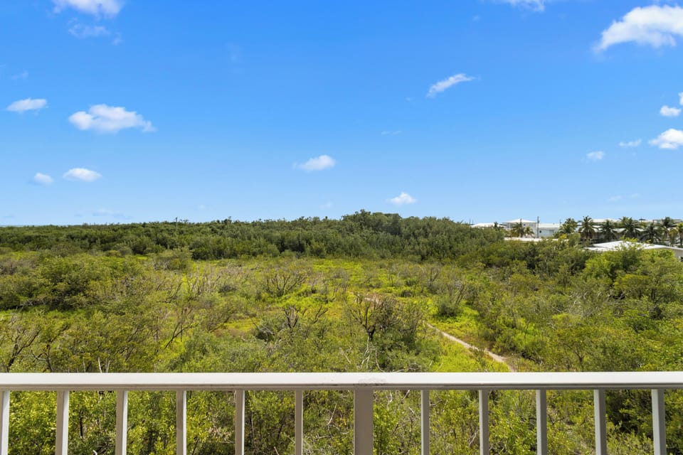 Soak up wide, peaceful scenery under bright blue skies.
