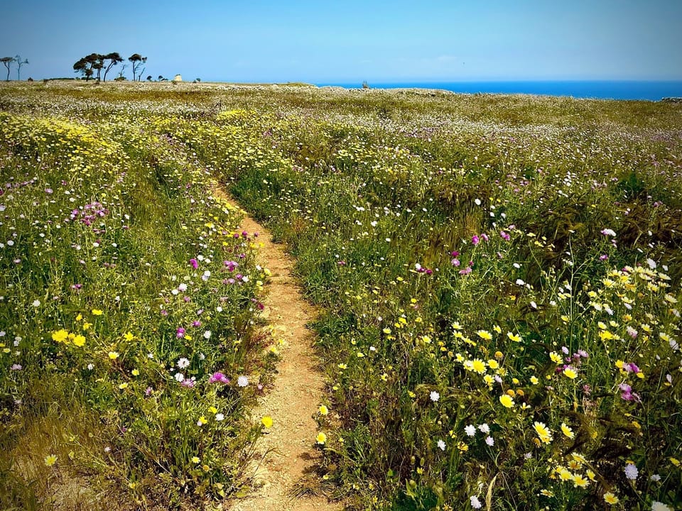 Walking path nearby