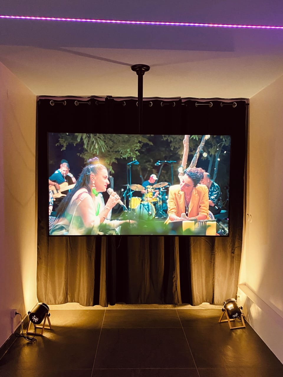 Television