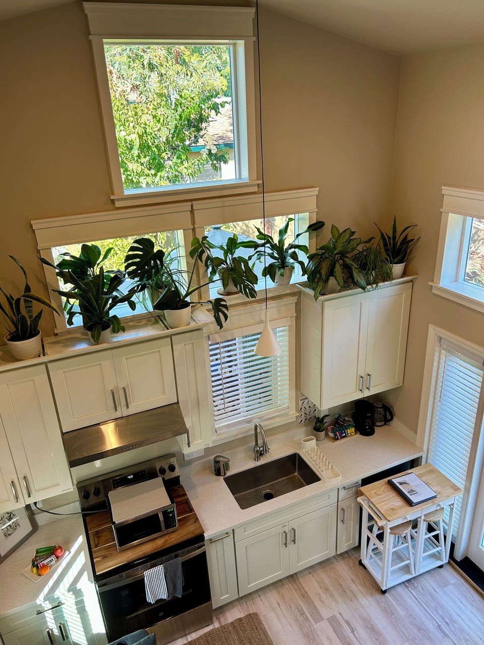 Full kitchen with live plants and natural light.