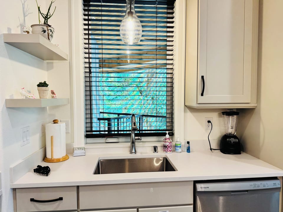 River View from the Kitchen Sink