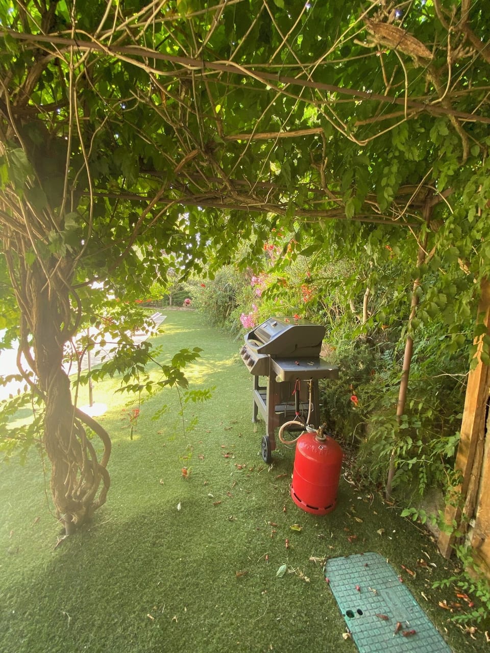 Property grounds