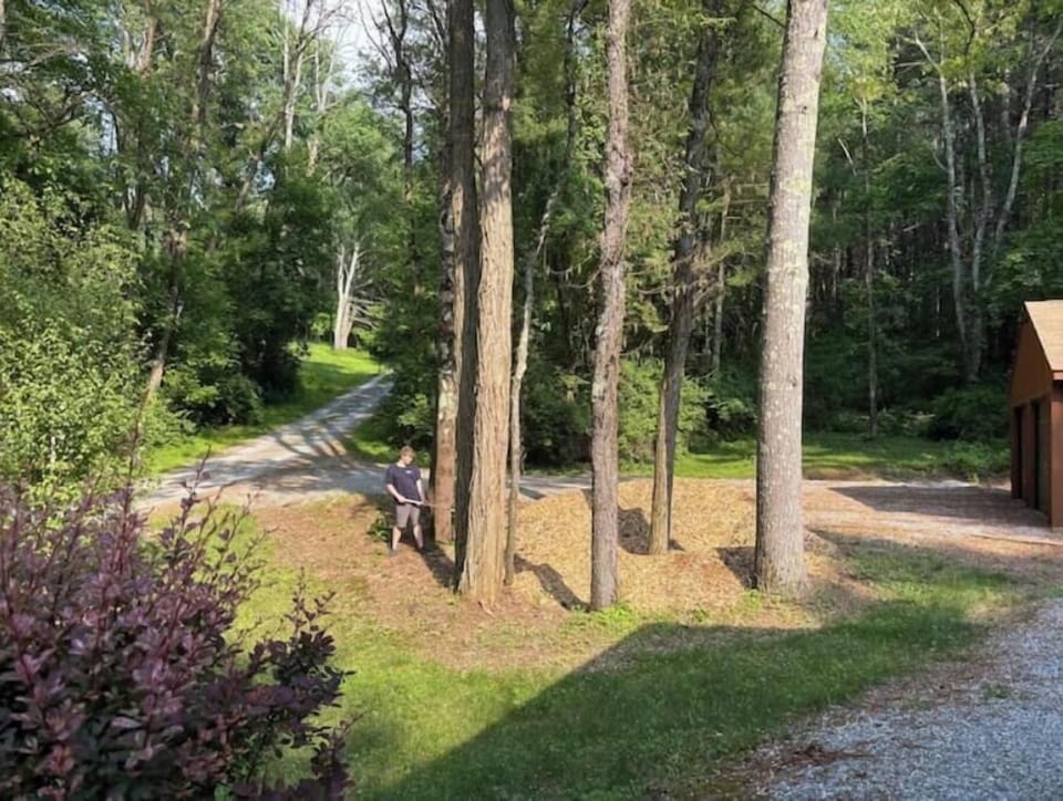 Property grounds