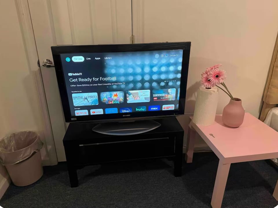 Television
