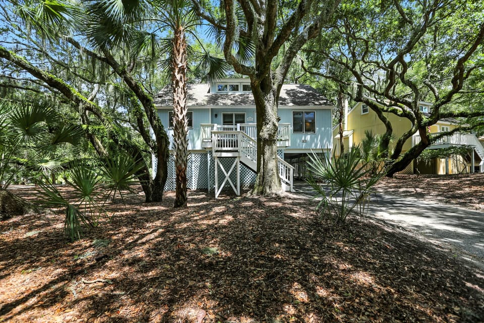 Cottage, House, Tree, Vegetation, Tree Trunk