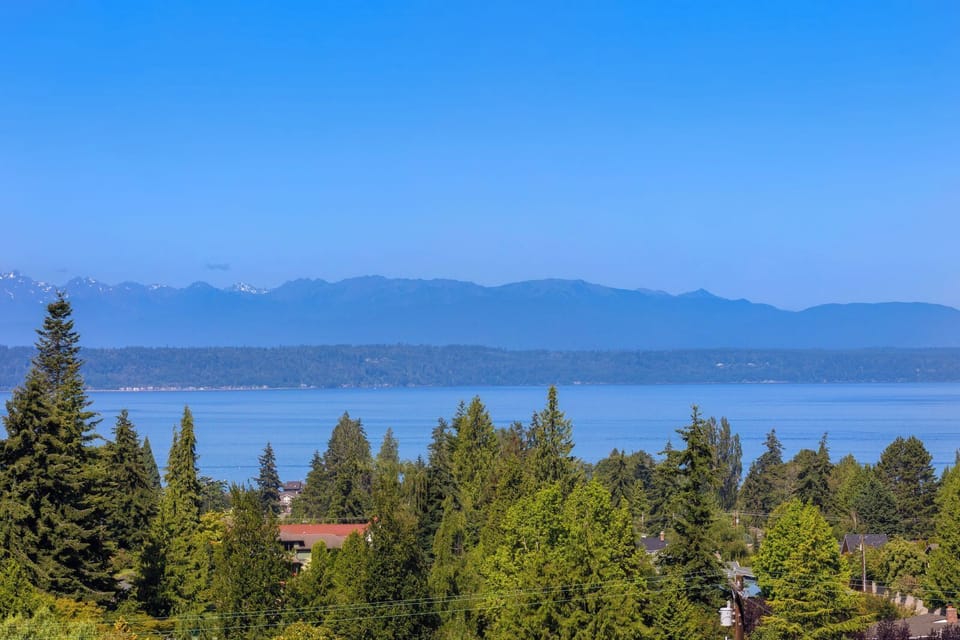 Westerly view of the Kingston ferry and 
Cruise Ships and more