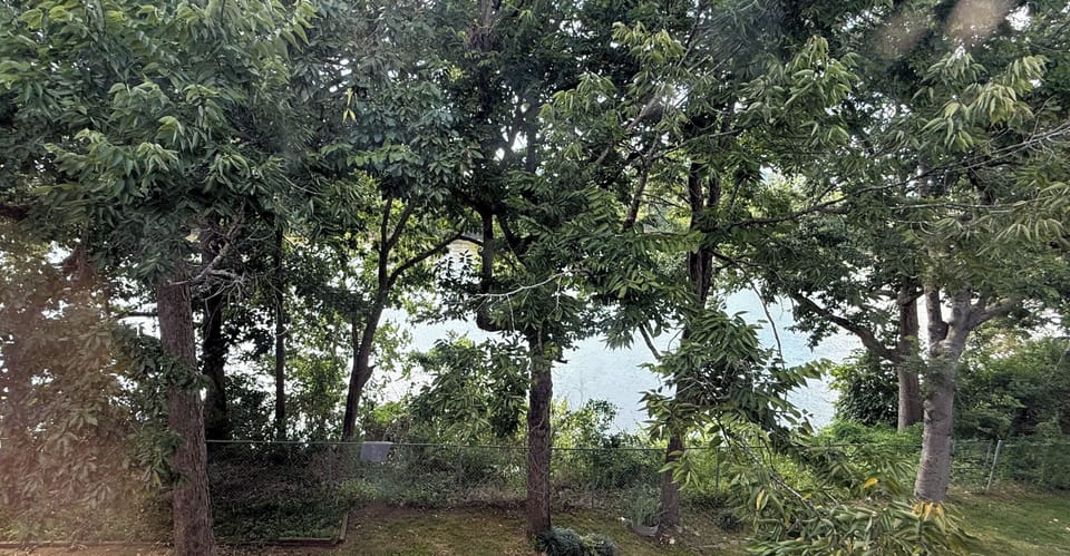 River view from primary bedroom.