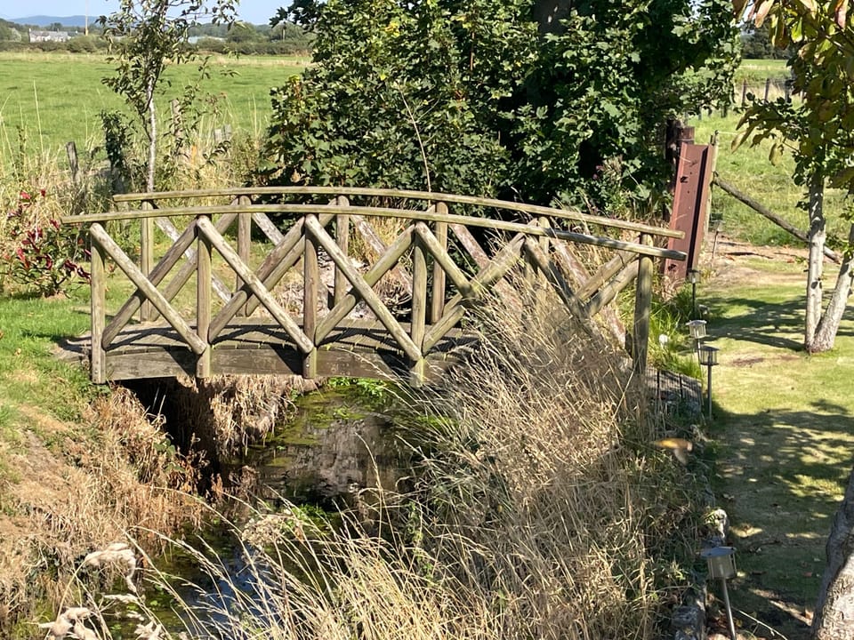 Image 15