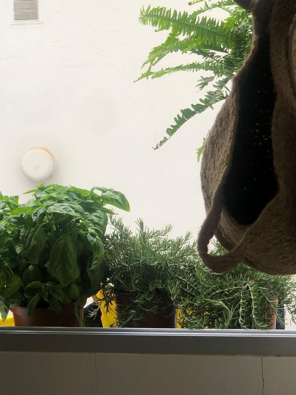 Interior detail