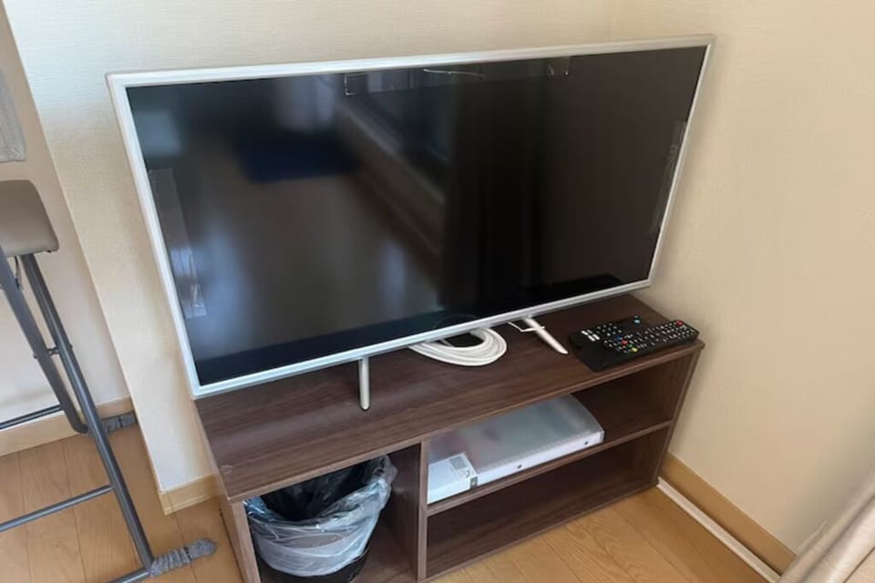 Television
