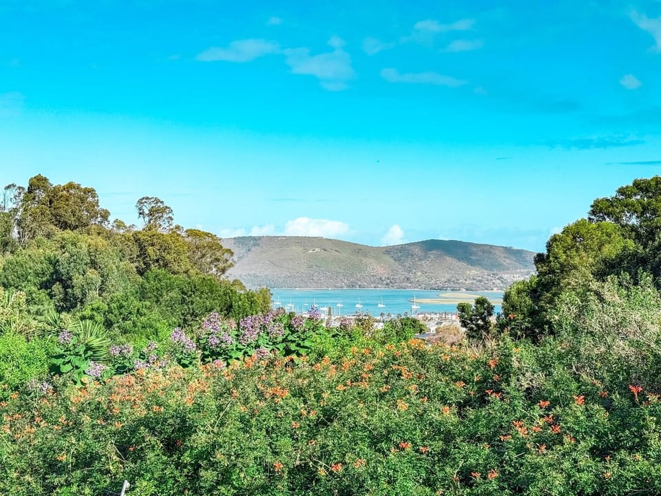 Kloof Gardens: Pool & Braai with Lagoon Views (28908)
