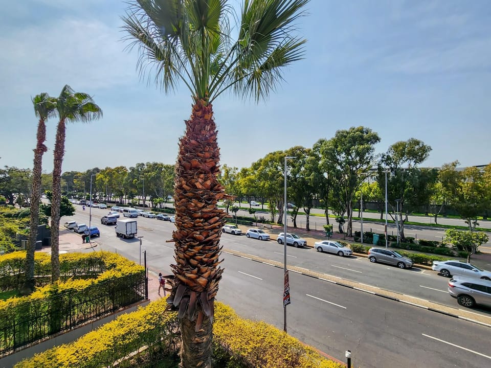 Modern Green Point Apartment with Balcony (30016)