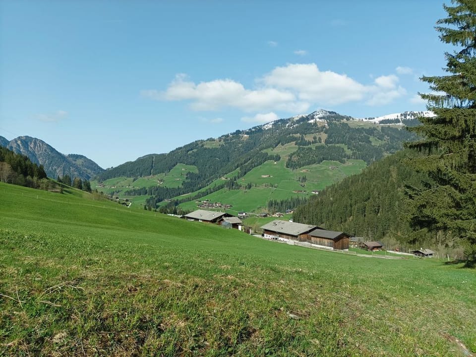 Vacation apartment Innergreit Apartment in Alpbach