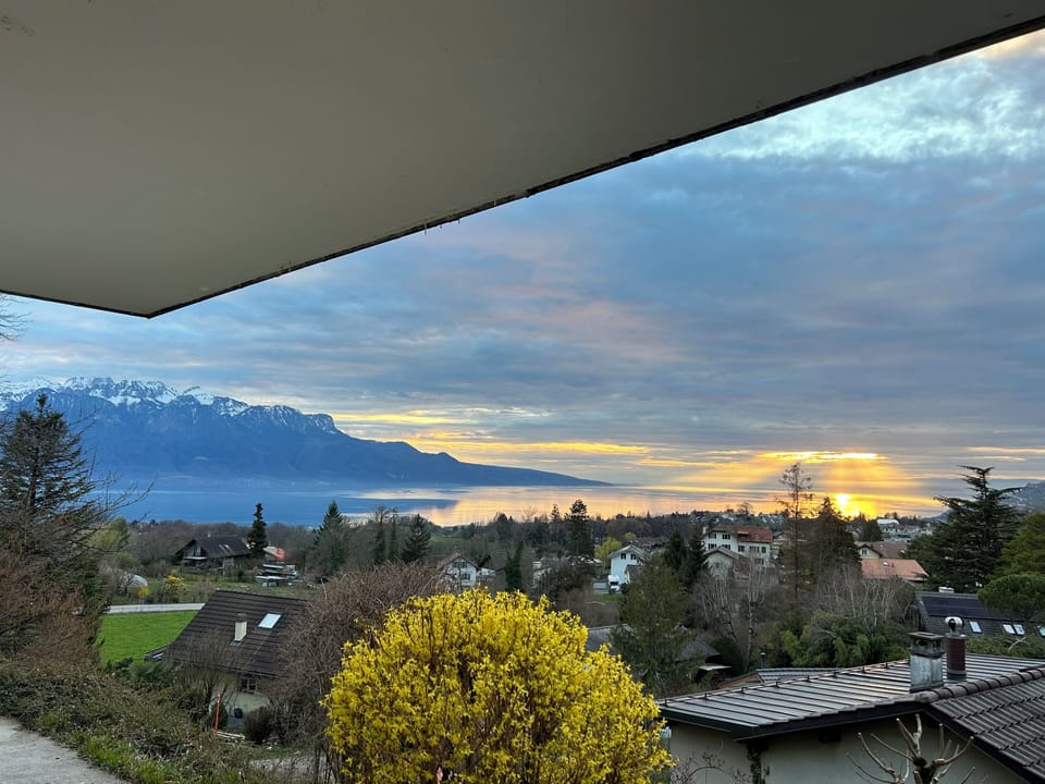View from property