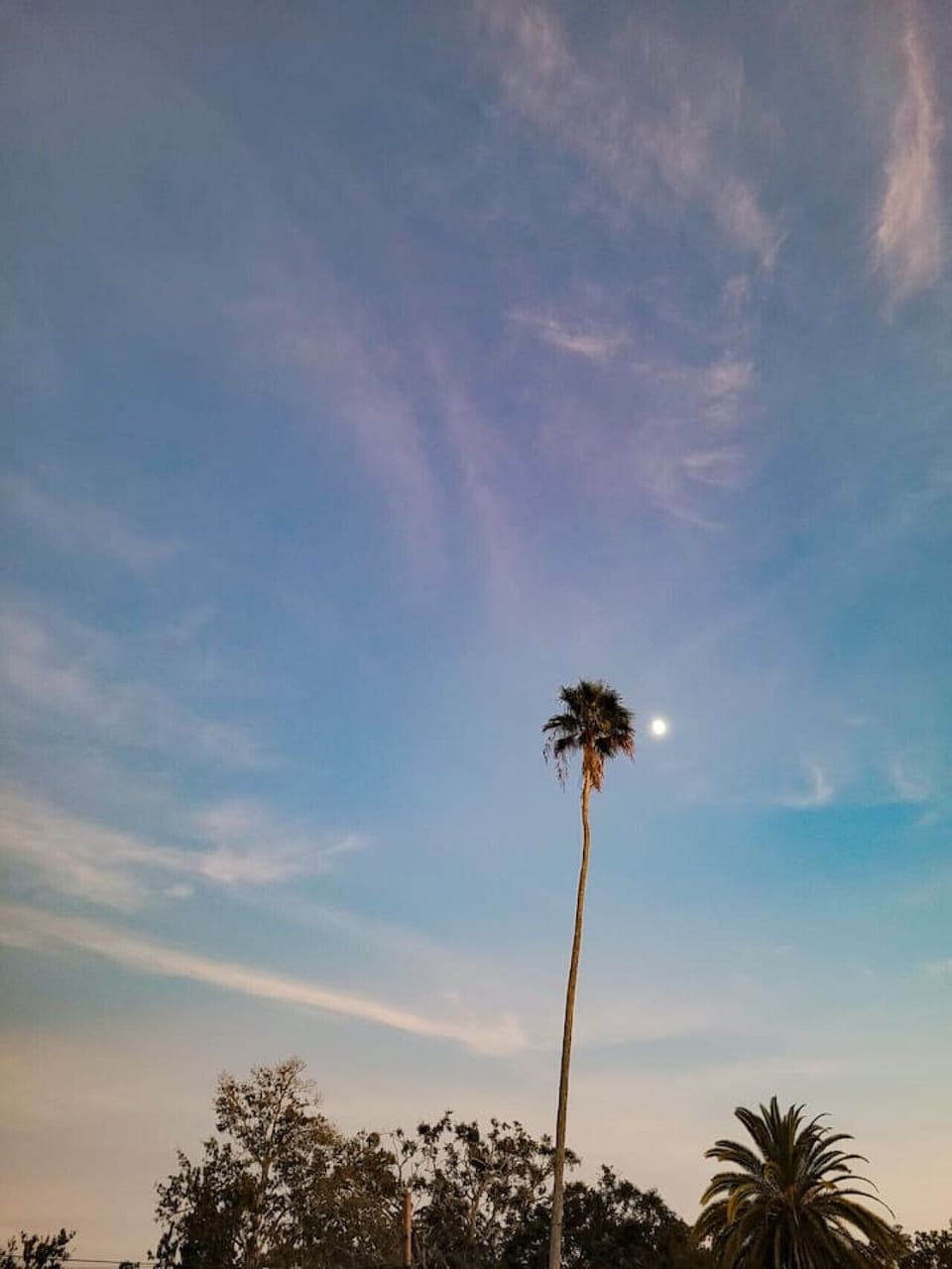 Some additional photos of the outside area