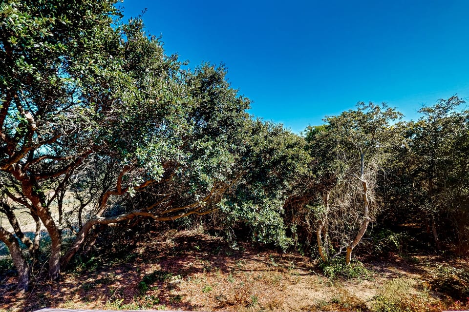 NCKH132-5511014