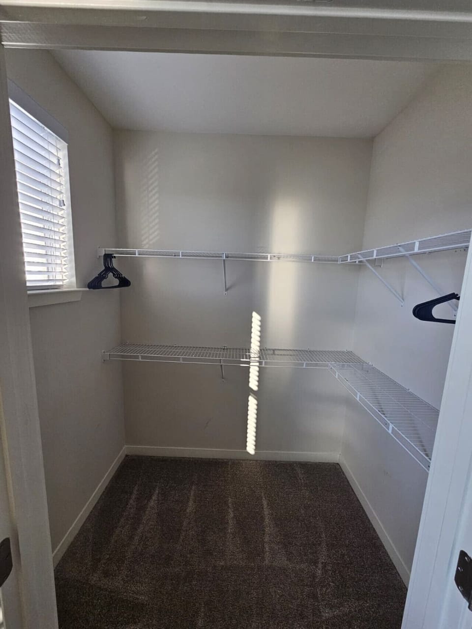 Bright walk-in closet offering ample storage space with shelving and hangers for guest convenience.