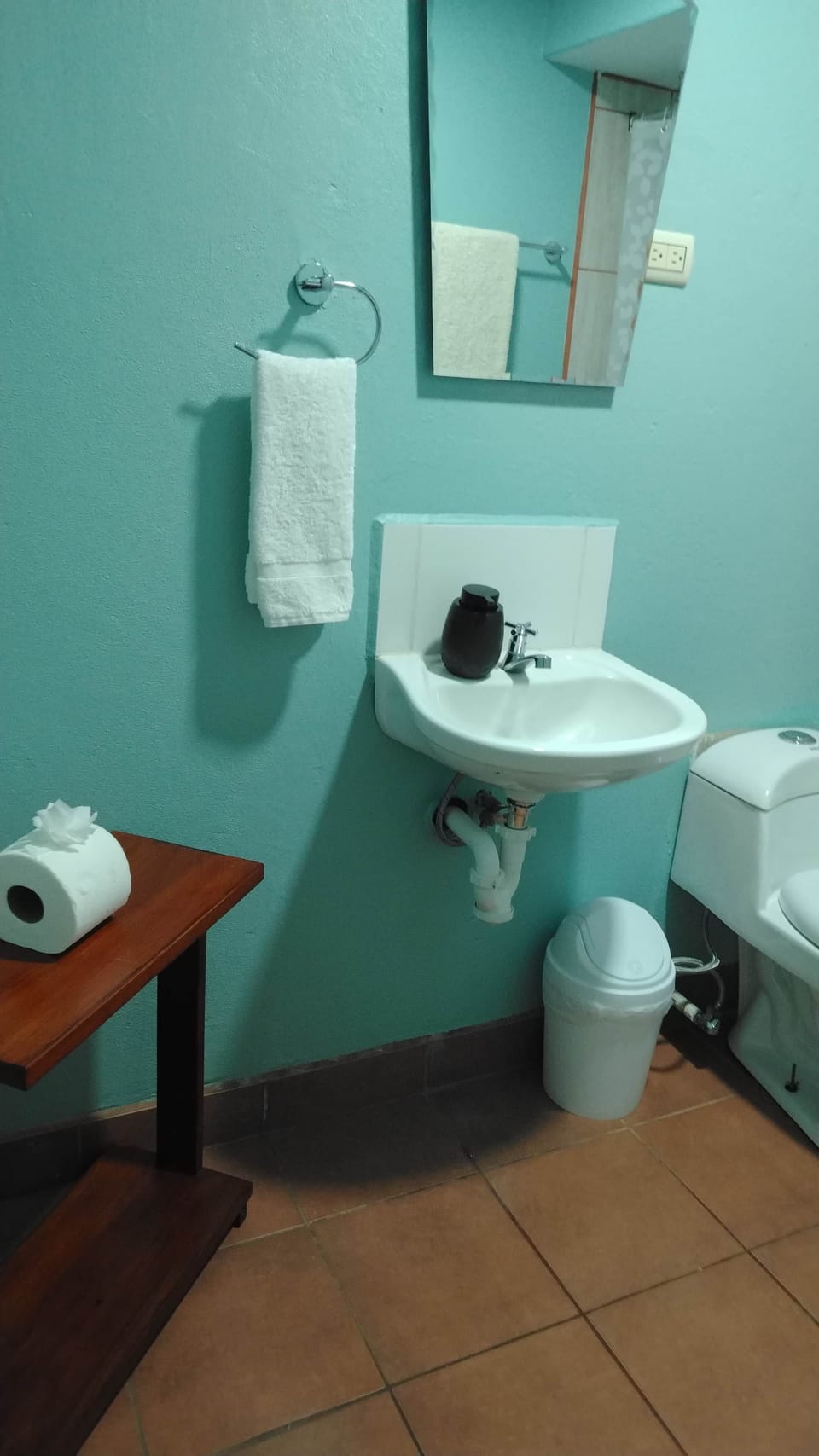 Hummingbird room - bathroom