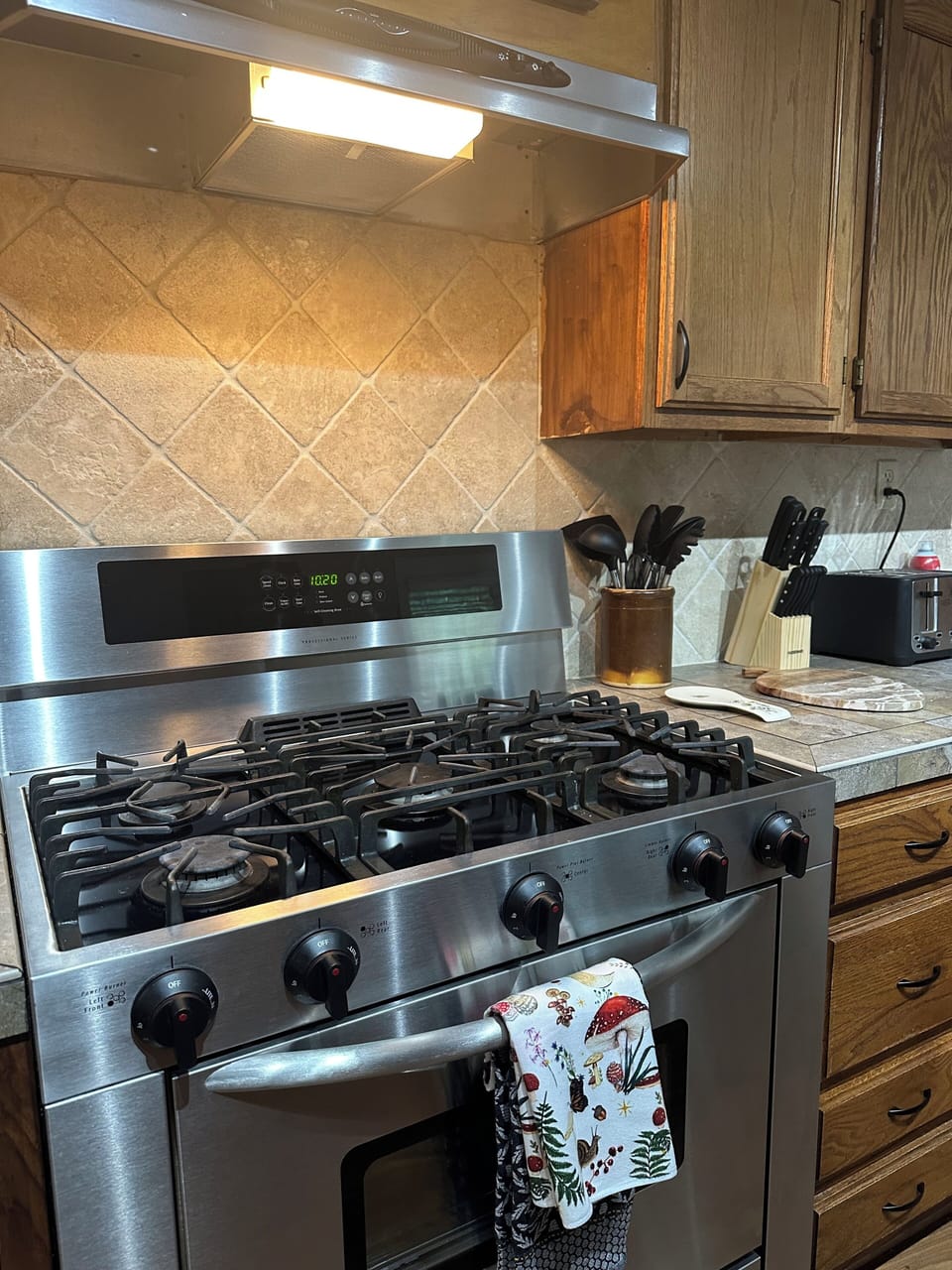 Gas stove