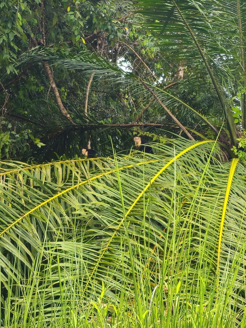 We watch them and they watch us!