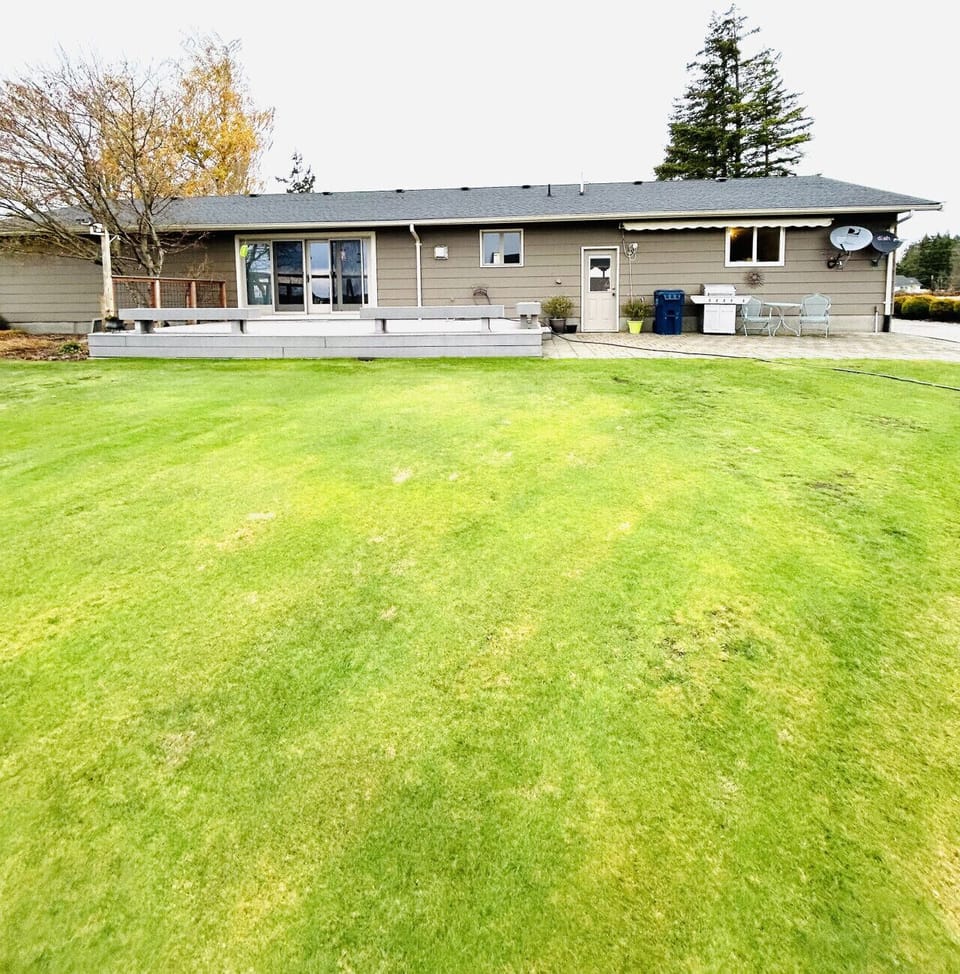 Spacious backyard featuring a large patio with built-in benches and open green space.
