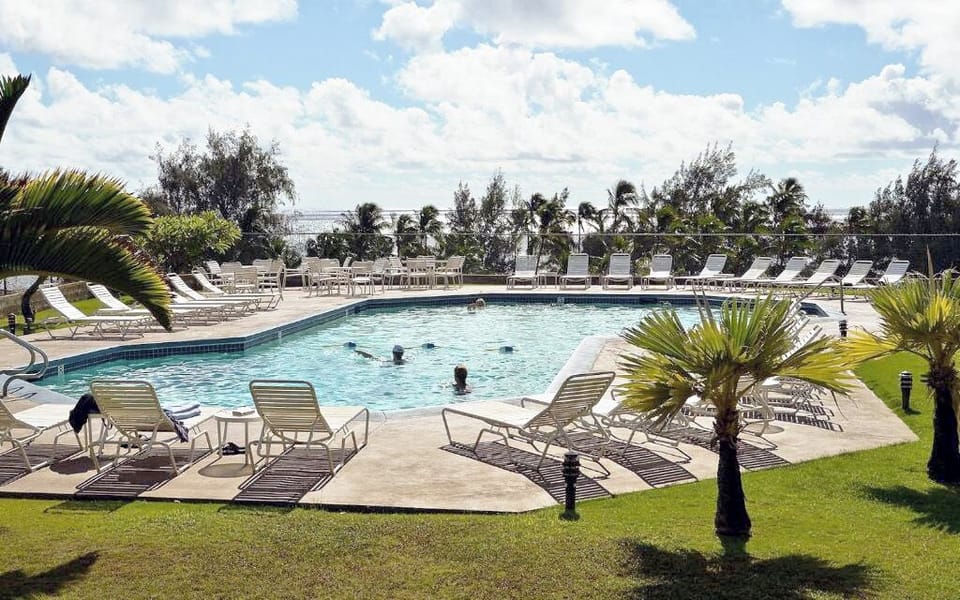 Dive into sunlit relaxation surrounded by loungers and palms.