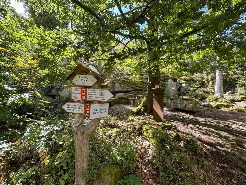 Surroundings [summer] (1-5 km)