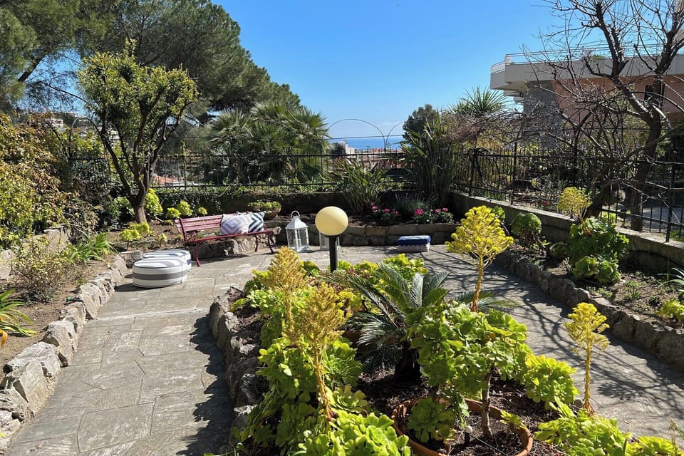 Garden [summer]